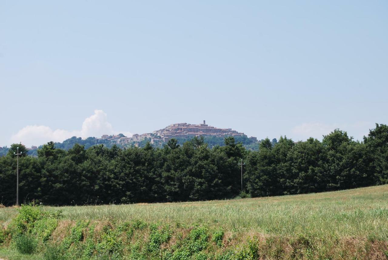 Willa Casa Bartali Chiusdino Zewnętrze zdjęcie